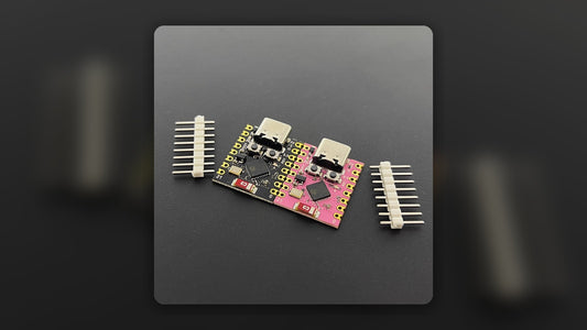 Two ESP32-C3 SuperMini boards used as supported hardware for RECon32