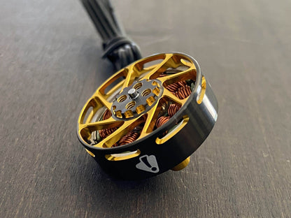 Ummagawd Aerolite 2004 Motor