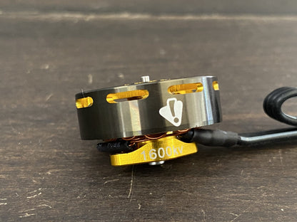 Ummagawd Aerolite 2004 Motor