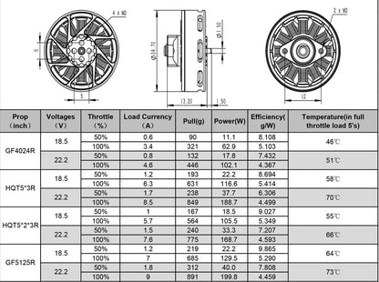 Ummagawd Aerolite 2004 Motor