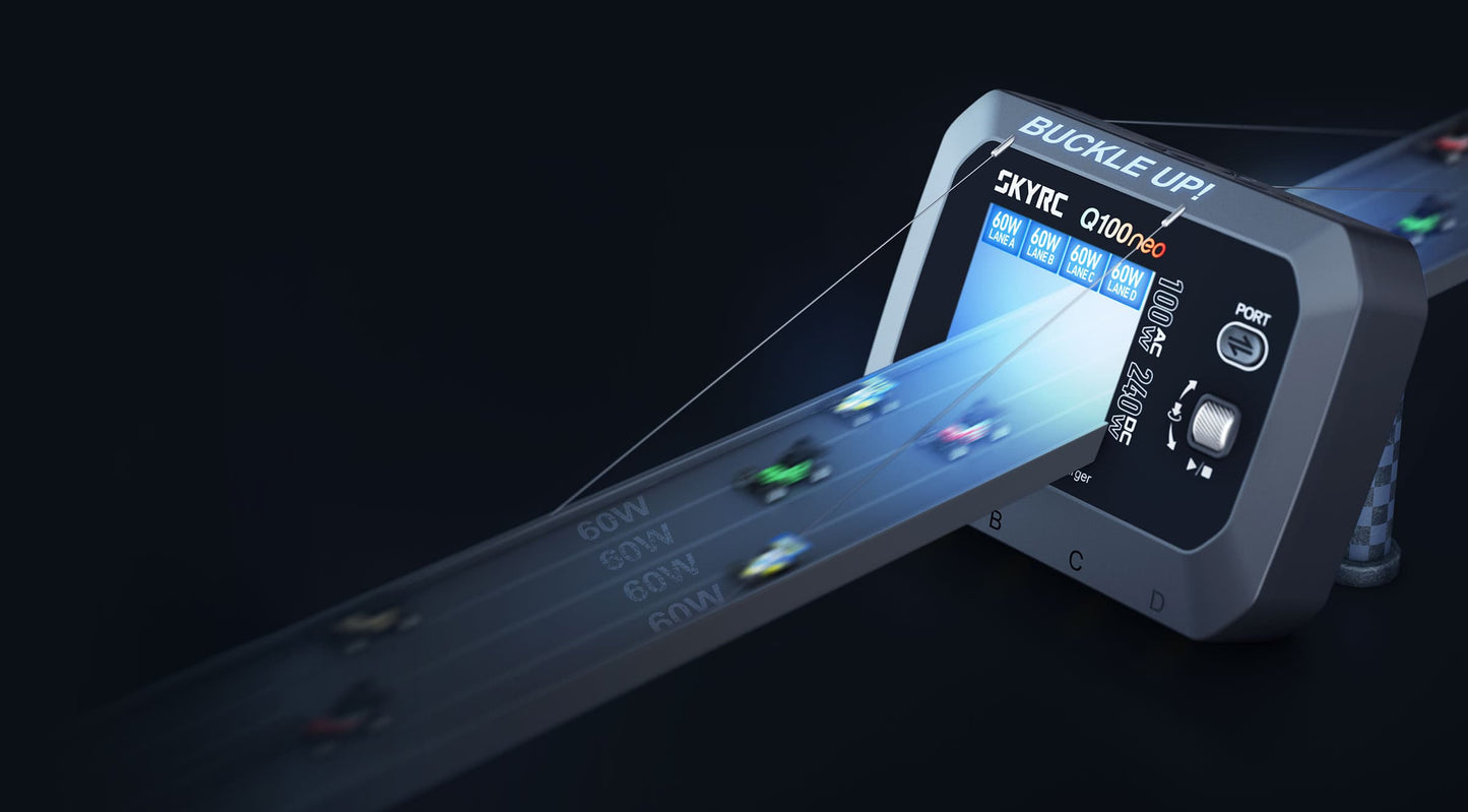 SkyRC Q100 Neo AC/DC Multi-Function Smart Charger
