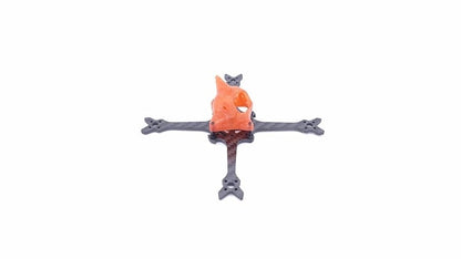 Roach 2.5" Toothpick 🦷 Frame