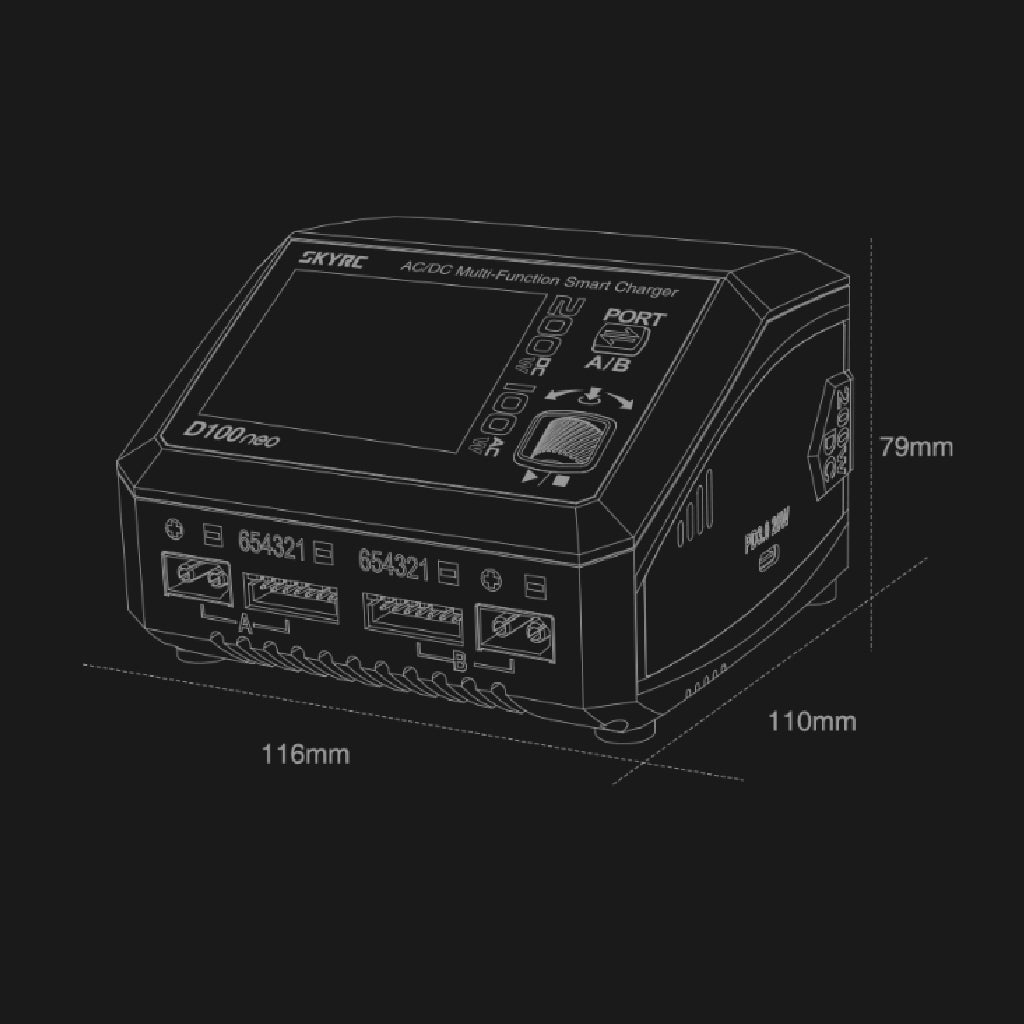 SkyRC D100neo AC/DC Multi-Function Smart Charger