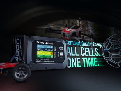 SkyRC Q100 Neo AC/DC Multi-Function Smart Charger