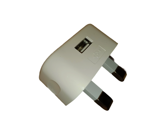 Generic Electricity Vendor - The 'Desperation' UK USB Power Brick