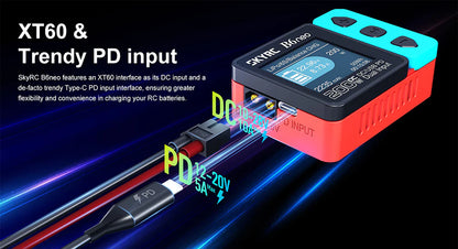SkyRC B6neo DC 200W Charger