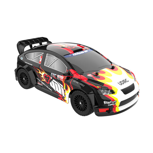 UDIRC Rally Car F Style Brushed RTR